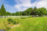 297 Mara Rose Lane - Photo 92