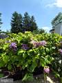 54 Blake Avenue - Photo 51