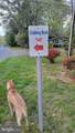 33179 Woodland Court - Photo 45