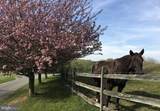 592 Creek Road - Photo 2