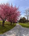 592 Creek Road - Photo 5