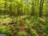97 acres Lot C Garrett Road - Photo 21