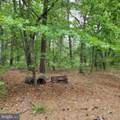 710 Taft Street - Photo 1
