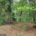 710 Taft Street - Photo 2