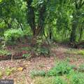 710 Taft Street - Photo 5