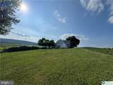 868 Catawissa Road - Photo 8