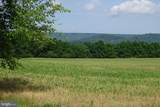 19.16 Acres Cito Road - Photo 31