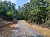 TBD Locust Grove Road - Photo 14