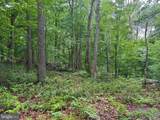 TR D-15 Deer Path Road - Photo 11