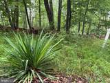 TR D-15 Deer Path Road - Photo 3