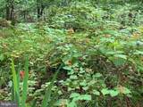 TR D-15 Deer Path Road - Photo 4