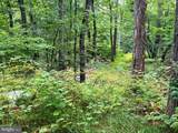 TR D-15 Deer Path Road - Photo 9