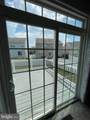 43691 Yulan Street - Photo 19
