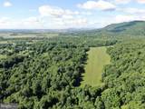 TRACT 1: 56+/- ACRES At 9611 Circle Drive - Photo 23