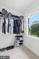 242 Street Of Dreams - Photo 35