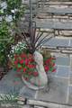4203 Mount Vernon Place - Photo 43