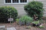 4203 Mount Vernon Place - Photo 46