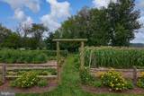 235 Haiti Road - Photo 105