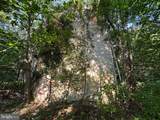 10068 Harry Byrd Highway - Photo 93