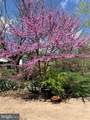 15010 Rolling Ridge Road - Photo 60
