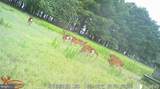 1713 Doeller Road - Photo 100