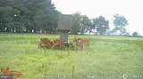 1713 Doeller Road - Photo 103