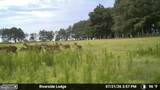 1713 Doeller Road - Photo 104