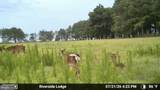 1713 Doeller Road - Photo 105