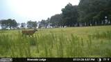 1713 Doeller Road - Photo 106