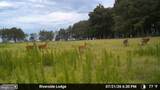 1713 Doeller Road - Photo 107