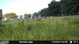 1713 Doeller Road - Photo 108