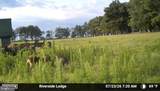 1713 Doeller Road - Photo 109