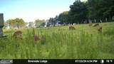 1713 Doeller Road - Photo 110