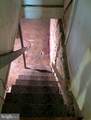 2221 Lexington Street - Photo 16