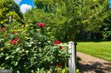 12 Hidden Hollow Drive - Photo 81
