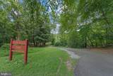 1516 Chambliss Street - Photo 55