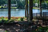 10919 Green Leaf Run - Photo 41