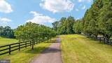 15638 White Tail Lane - Photo 58