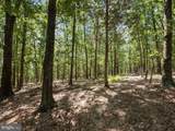  Light Road - Photo 58