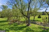 10517 Alloway Drive - Photo 66