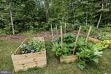12606 Plantation Drive - Photo 47