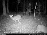 0 Head Of Creek Rd - Photo 3