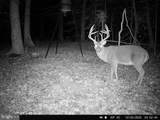 0 Head Of Creek Rd - Photo 4