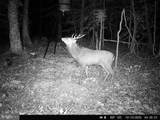 0 Head Of Creek Rd - Photo 5