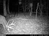 0 Head Of Creek Rd - Photo 6