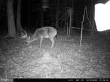 0 Head Of Creek Rd - Photo 7