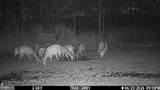 2243 Wingate Bishops Head Road - Photo 56