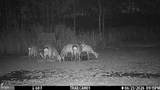 2243 Wingate Bishops Head Road - Photo 57