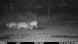 2243 Wingate Bishops Head Road - Photo 58