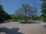 6020 Atkinson Road - Photo 7